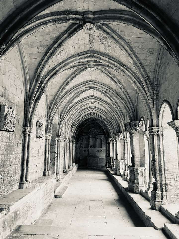 Cloître Saint-Trophime