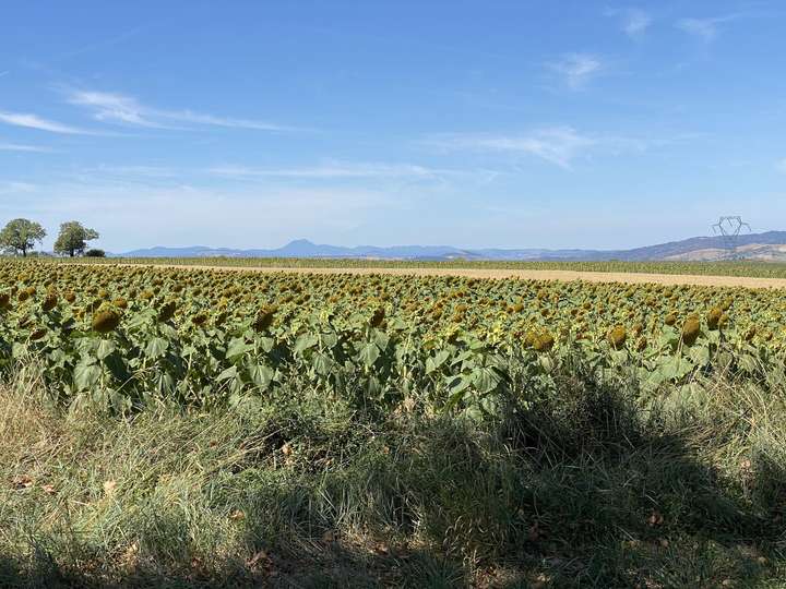 Le Puy-de-Dôme