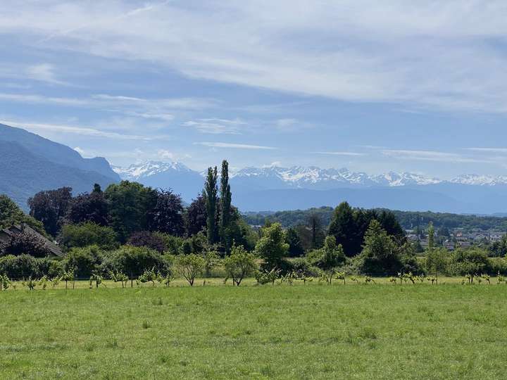 Belledonne au fond