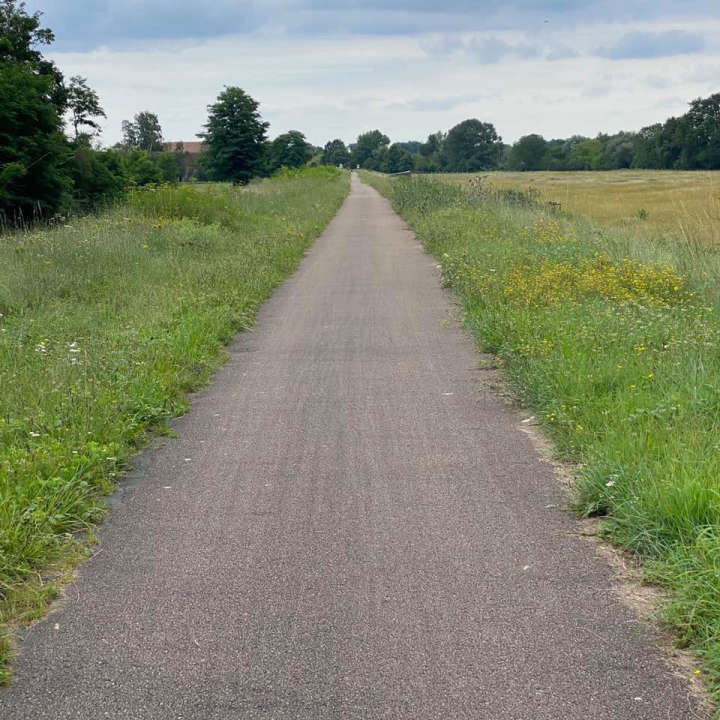 Grande Levée de Napoléon