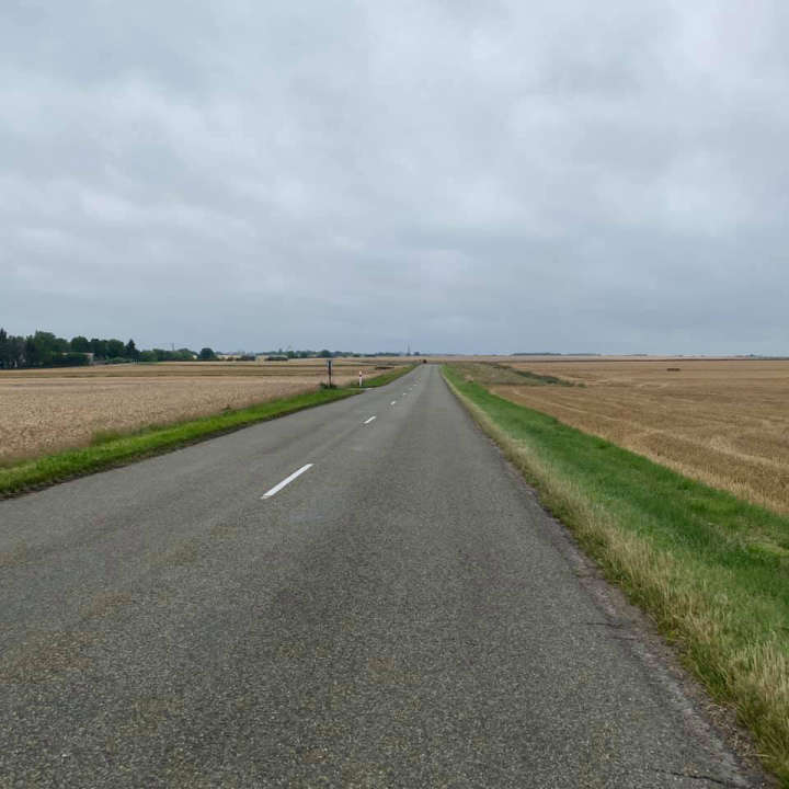 Dans la Brie, face au vent