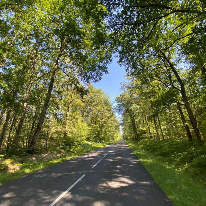 En route vers Langeais