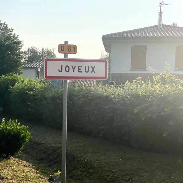Joyeux