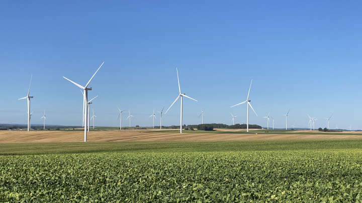 Eoliennes dans la plaine picarde