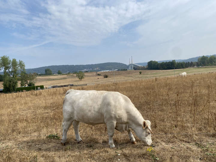 Campagne normande