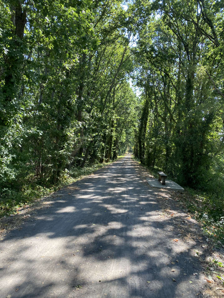 La véloscénie