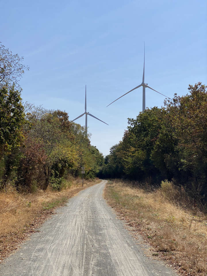La véloscénie