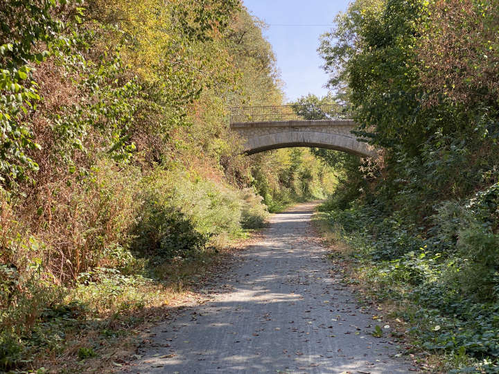 La véloscénie