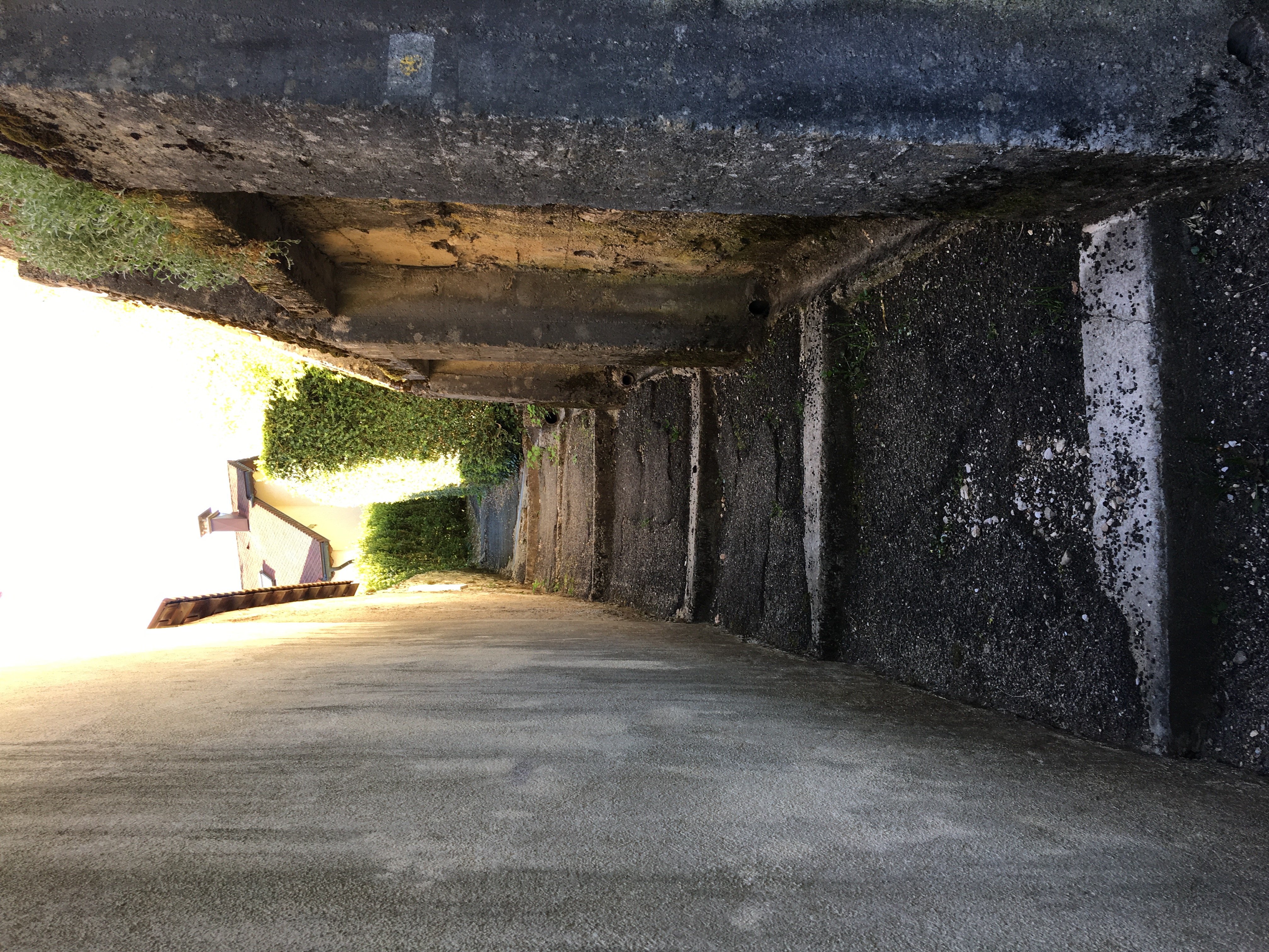 Sur le chemin du belvédère de l'Ermitage