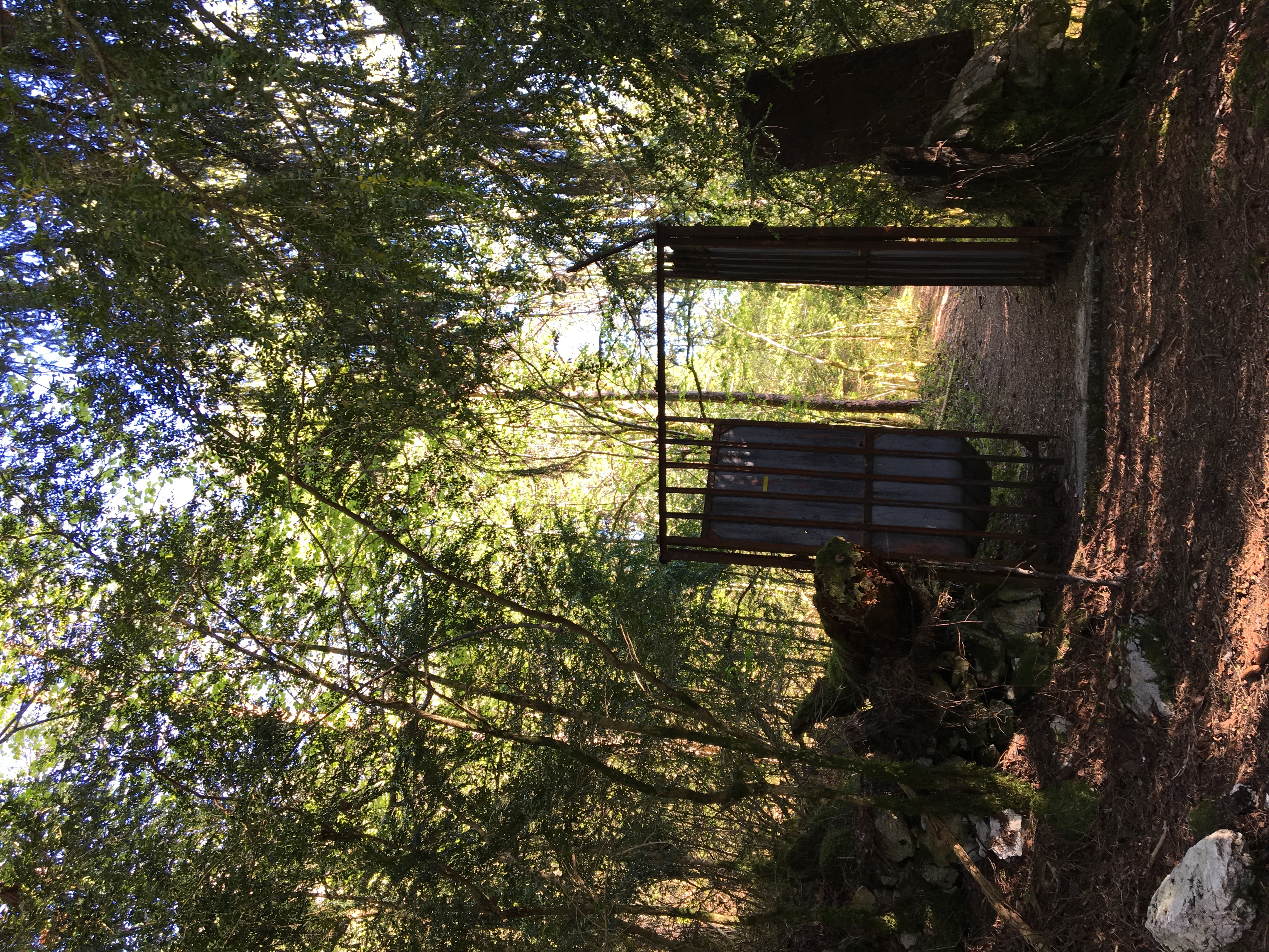 Sur le chemin du belvédère de l'Ermitage