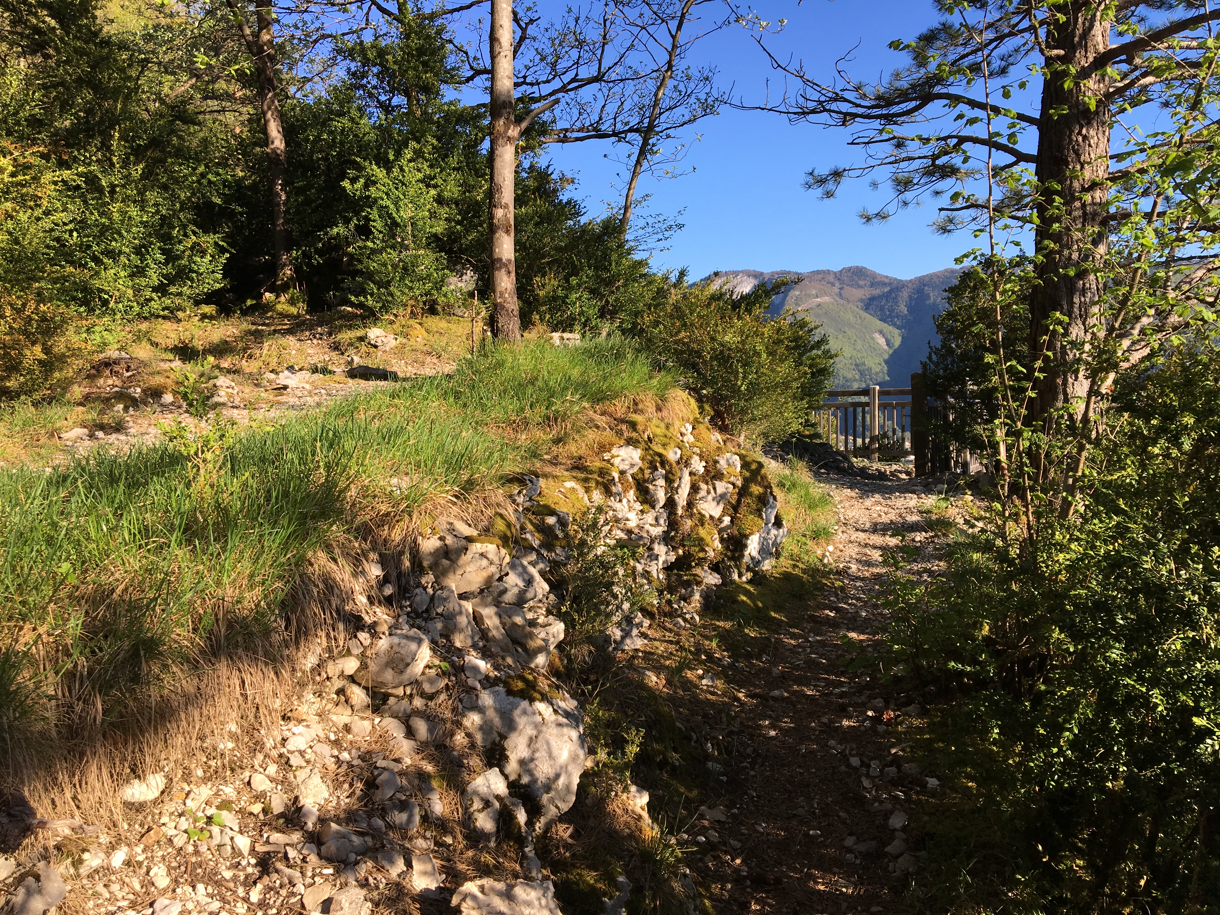 Sur le chemin du belvédère de l'Ermitage