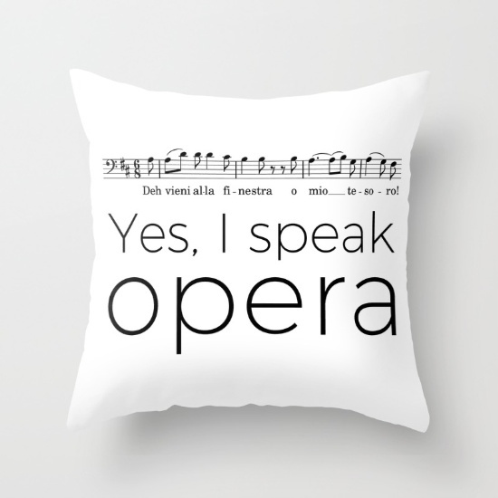 i-speak-opera-baritone-pillows